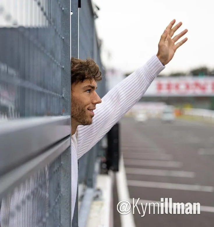 48200 gasly diecast display