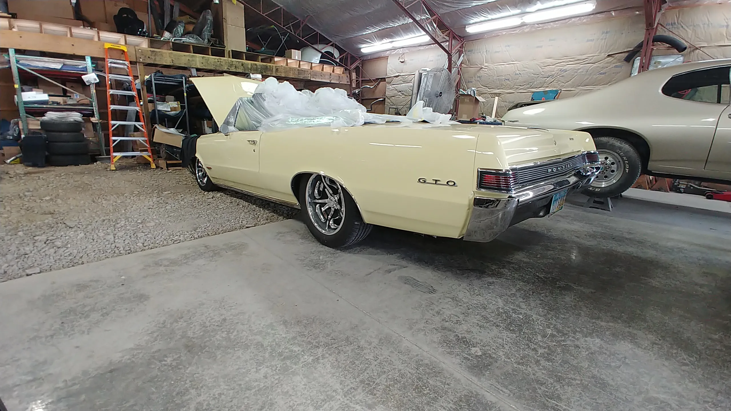 48201 gto muscle car history