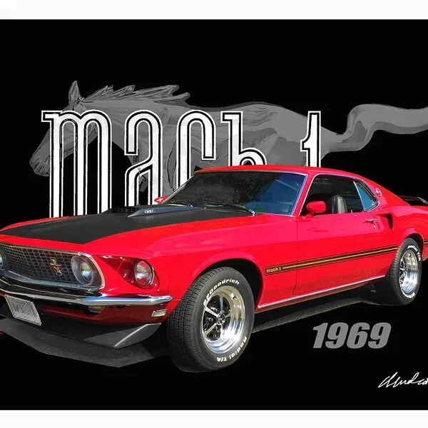48215 diecast 69 mustang exterior