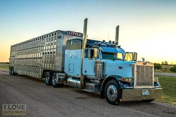 48264 peterbilt 379 diecast collection